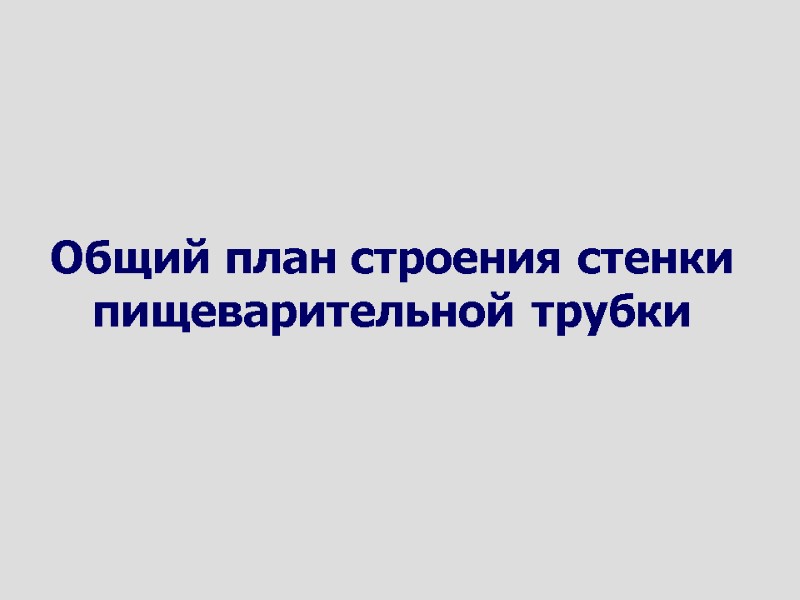 Общий план строения стенки пищеварительной трубки